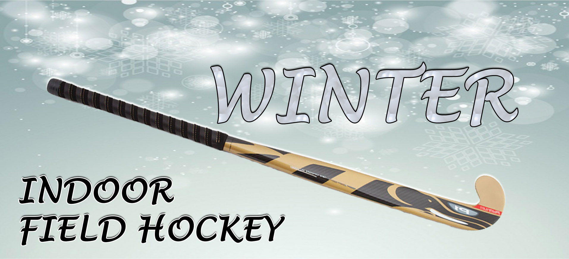 Winter Indoor Field Hockey